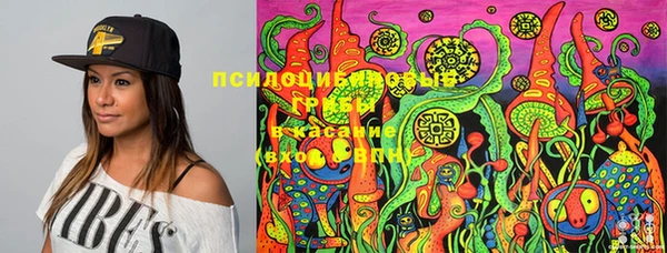 герыч Сосновоборск