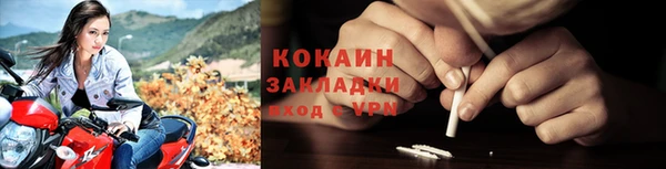 PSILOCYBIN Сосновый Бор