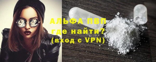 PSILOCYBIN Сосновый Бор